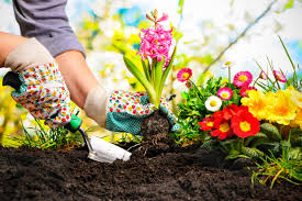 gardening for detoxification and releasing stress