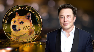 Elon Musk, Tesla, dan SpaceX Digugat $258 MILIAR atas Skema Piramida Dogecoin