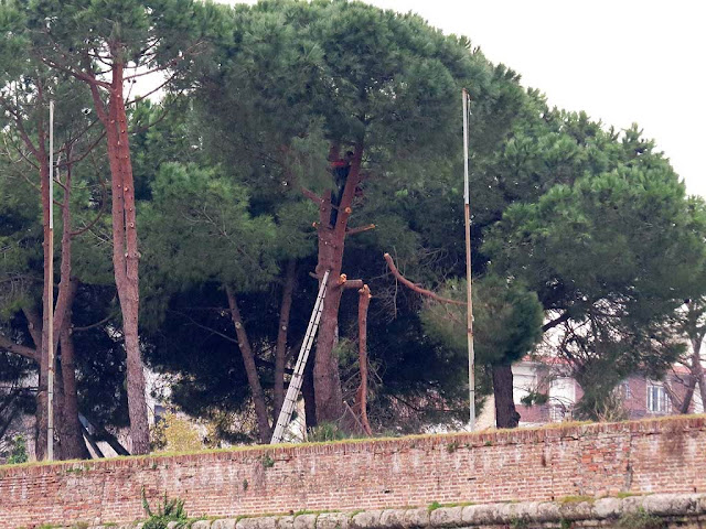 Fortezza Nuova, Livorno