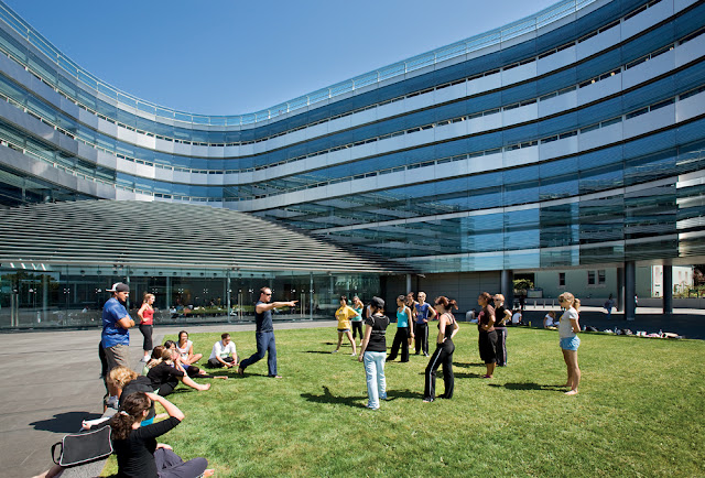 Lawn in front of the modern architecture building 