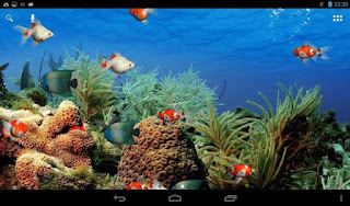 live Wallpaper Aquarium Android hidup