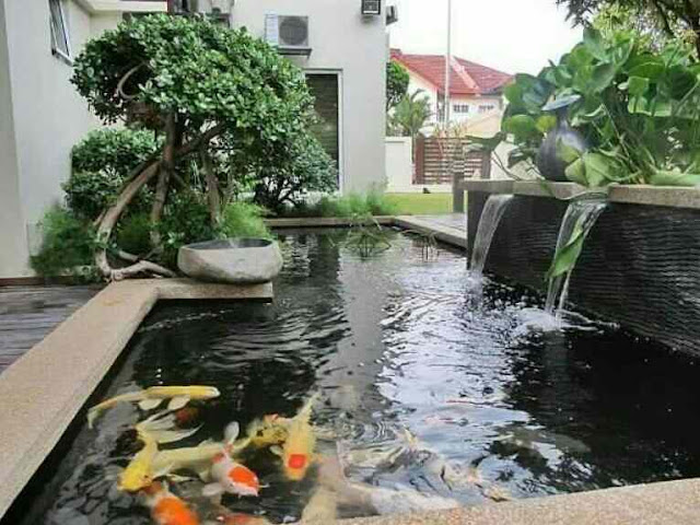 Desain atau model kolam ikan minimalis batu alam terbaik