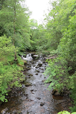 A shallow river running through woodland and cascading over rocks.