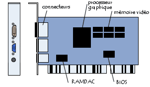 كل شيئ حول بطاقة الرسومات Carte graphique 