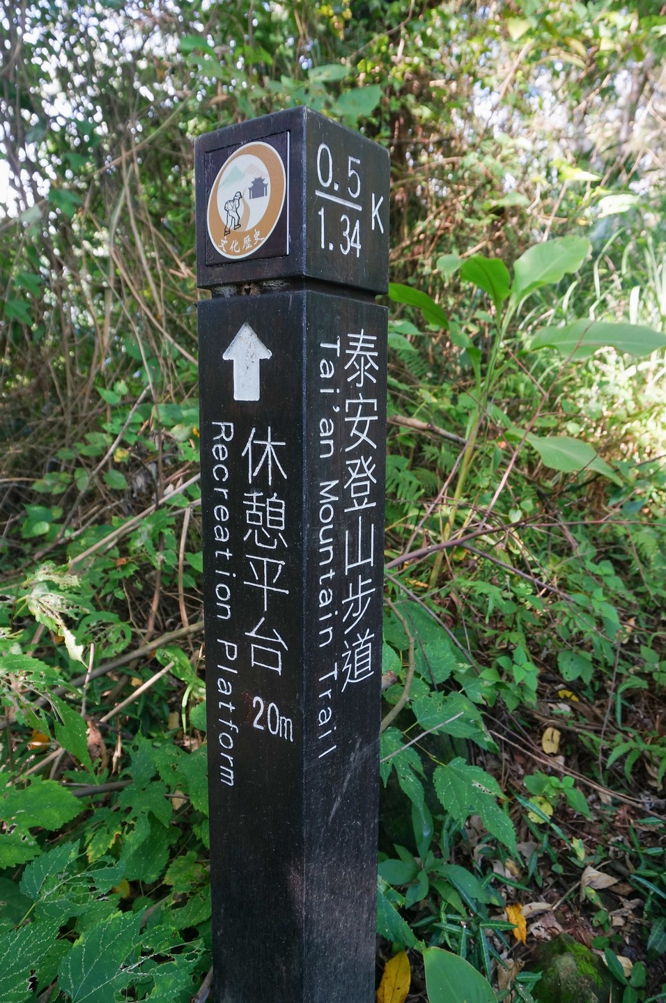 泰安登山步道