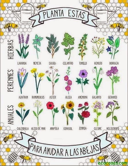 Plantas para las abejas