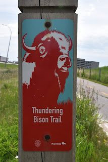 Thundering Bison Trail sign Winnipeg.