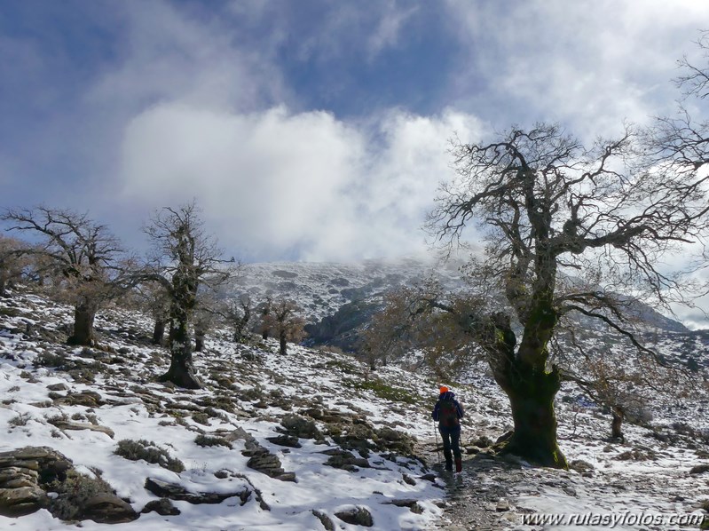 Subida al Torrecilla desde Quejigales