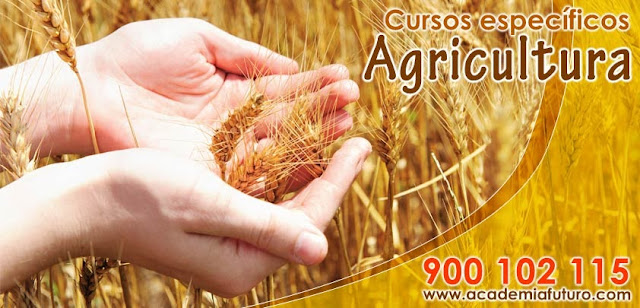 Cursos específicos: Agricultura