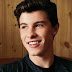 Lirik Lagu Shawn Mendes - Stitches