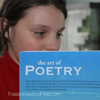 The Art of Poetry Review