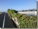 LA River Bike Trail