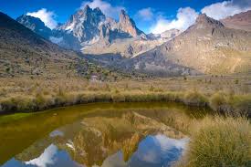 mount kenya national park images
