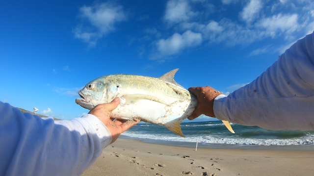 Fish Report, Fishing Report, Florida, East Coast, Fishing, Anglers, Beach Closures, God Bless, Surf Fishing, Florida Surf Fishing, 