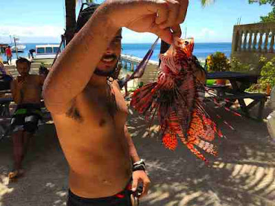 Captured Lionfish