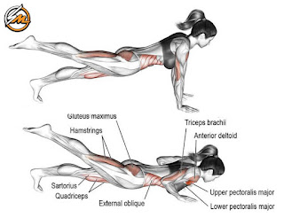 9 Effective Push-Up Variations to Build Muscle