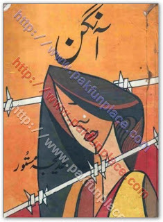 Aangan novel by Khadija Mastoor pdf.