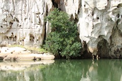 2010.07.28 at 11h10m34s Geike Gorge