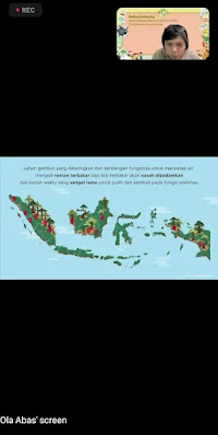 pesebaran lahan gambut di Indonesia