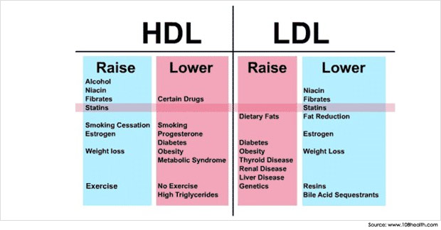 Hdl Cholesterol Low