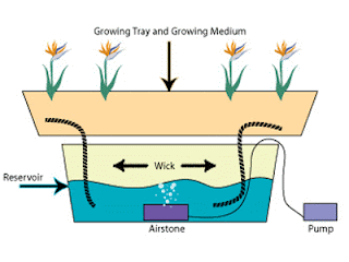 Hydroponics Systems - Hydroponics Nutrients, Hydroponics Systems: Wick ...