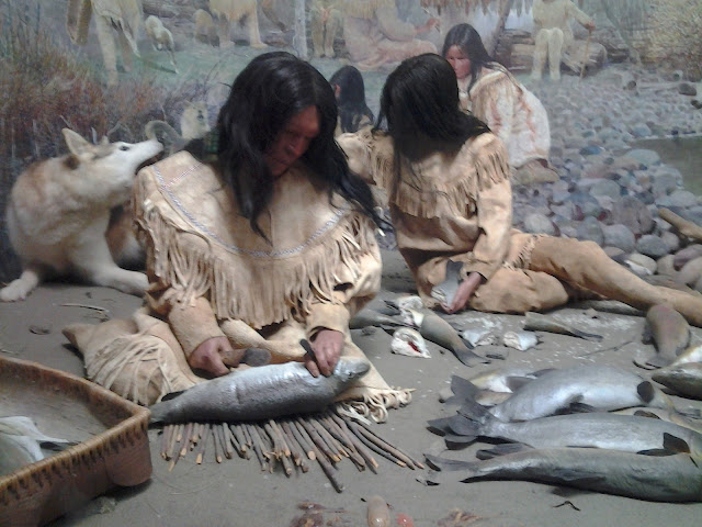 royal alberta museum first nations