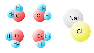 Problemas resolvidos na reação de dissolução do cloreto de sódio. Como resolver as questões de química, dissolução do cloreto de sódioa formação do chamado hidróxido de sódio e cloreto de hidrogênio.  Tanto NaOH quanto HCL são eletrólitos fortes, por isso existem na forma de íons.