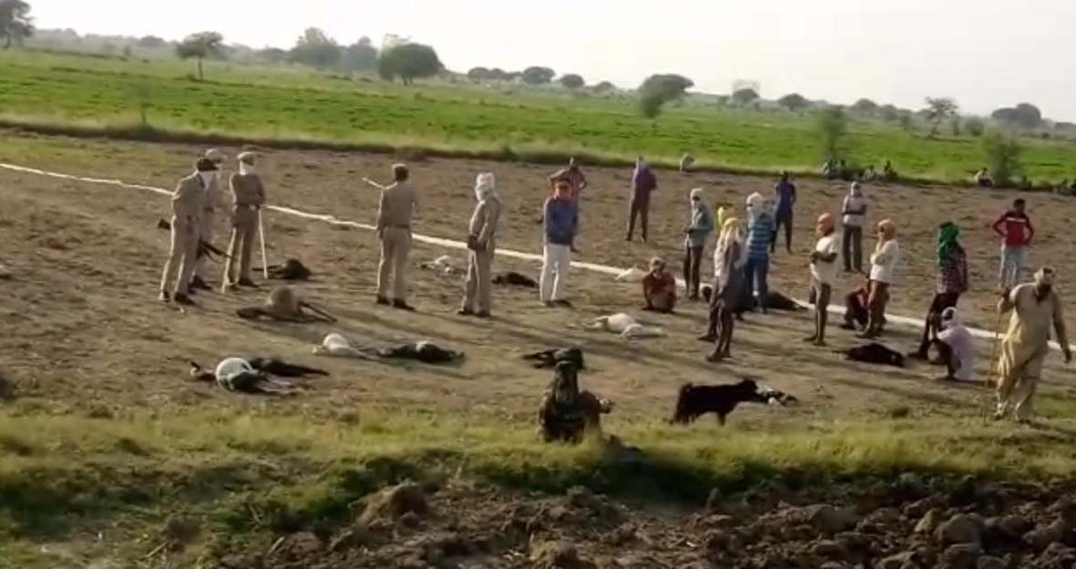 चित्र