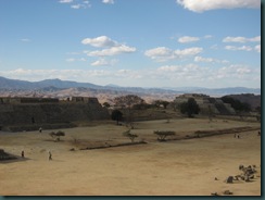 IMG_9696 IMG_9696