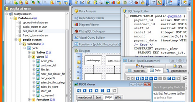 Image result for postgresql maestro crack