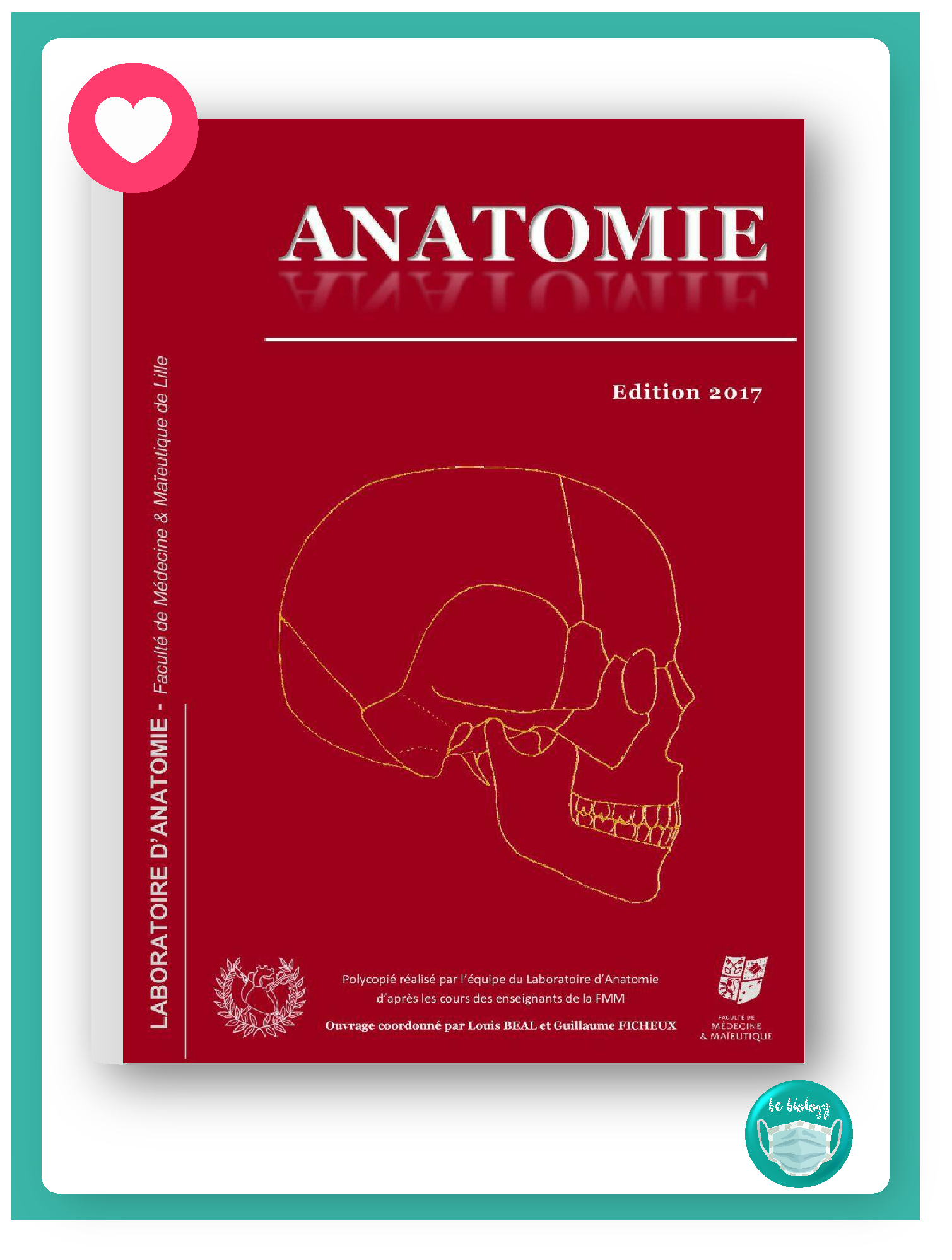 Anatomie