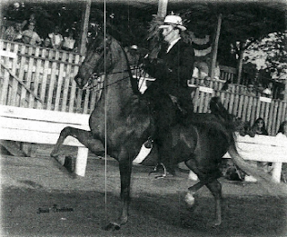 Randy Cates Horse Trainer