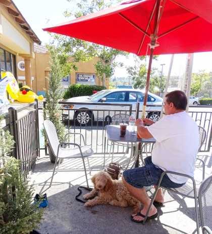Dog Friendly Areas in North County San Diego by Stacey Kuhns