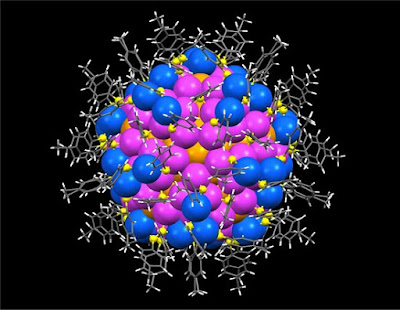  A supernanopartícula - quase uma biomolécula - é formada por 246 átomos de ouro unidos por 80 moléculas de metilbenzenotiol.[Imagem: Carnegie Mellon University] Nanopartículas complexas  Embora sejam uma das peças mais promissoras da nanotecnologia - ao lado dos fulerenos, dos nanotubos e dos materiais bidimensionais - as nanopartículas sempre foram vistas como coisas muito simples, essencialmente pequenos pedaços de alguma coisa.  Esse conceito agora mudou completamente.  Químicos demonstraram que as nanopartículas podem ser fabricadas de forma a atingir o mesmo nível de complexidade estrutural que as proteínas.  Chenjie Zeng e seus colegas afirmam que sua técnica de automontagem permitirá a construção de nanopartículas voltadas para as mais diversas finalidades, incluindo a construção de circuitos eletrônicos, materiais com novas propriedades e novos medicamentos.  "A automontagem é um importante meio de construção no nanomundo. Entender as regras da automontagem é fundamental para que possamos projetar e fabricar nanopartículas complexas com uma ampla gama de funcionalidades," disse Zeng, atualmente na Universidade Carnegie Mellon, nos EUA.  Automontagem de nanopartículas  Zeng desvendou esse processo de automontagem ao analisar a estrutura da nanopartícula Au246 - um grupo de 246 átomos de ouro -, uma das maiores e mais complexas nanopartículas criadas até hoje.  A análise revelou que a nanopartícula tem muita coisa em comum com as biomoléculas - incluindo o tamanho, já que ela tem dimensão semelhante à das proteínas. Os ligantes, elementos que mantêm os átomos coesos, se arranjam em padrões rotacionais e paralelos que são incrivelmente parecidos com os padrões encontrados na estrutura secundária das proteínas.  Usando cristalografia de raios X, a equipe descobriu que essas nanopartículas complexas se formam seguindo duas regras. Primeiro, elas maximizam as interações entre os átomos, um mecanismo que tinha sido teorizado, mas nunca visto antes. Em segundo lugar, as nanopartículas "casam" padrões superficiais simétricos, um mecanismo que não havia sido nem mesmo teorizado. Essa correspondência, que é semelhante a peças de um quebra-cabeça se juntando, mostra que os componentes da nanopartícula podem se reconhecer mutuamente por seus padrões, e espontaneamente se ajustar na estrutura altamente ordenada resultante.  A grande expectativa é que isso permita que as nanopartículas interajam facilmente com os sistemas biológicos, abrindo o caminho para novas rotas de síntese química e bioquímica - para o desenvolvimento de novos medicamentos, por exemplo.  A equipe agora pretende avaliar as propriedades catalíticas e eletrônicas dessas supernanopartículas.    FONTE: Carnegie Mellon University  Bibliografia:  Emergence of hierarchical structural complexities in nanoparticles and their assembly Chenjie Zeng, Yuxiang Chen, Kristin Kirschbaum, Kelly J. Lambright, Rongchao Jin Science Vol.: 354, Issue 6319, pp. 1580-1584 DOI: 10.1126/science.aak9750