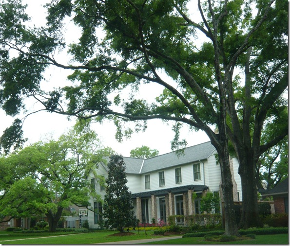 April 2010 001