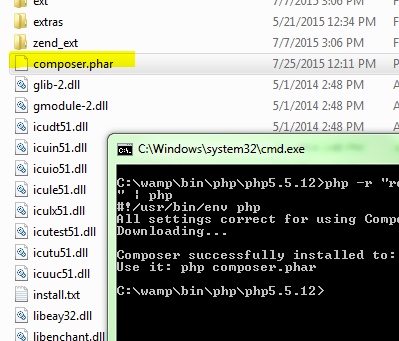 Composer install command