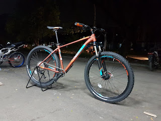 Polygon Xtrada 6.0 Brown