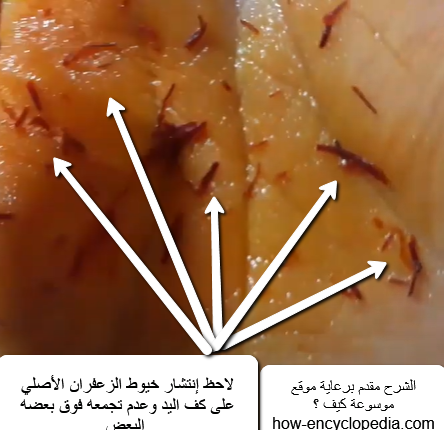 شرح كيف أن خيوط الزعفران الأصلي لا تتجمع على راحة اليد و تنتشر خيوط الزعفران على كف اليد بالكامل على عكس خيوط الزعفران المغشوش