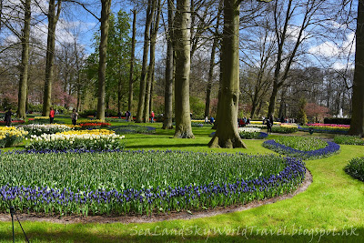 庫肯霍夫公園, Keukenhof, 荷蘭, holland, netherlands