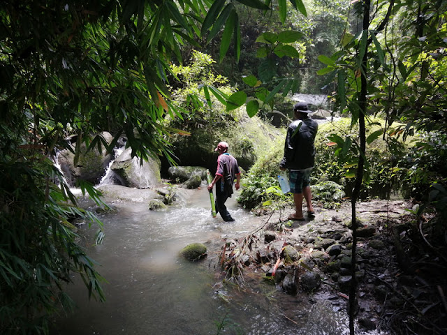Hiking at Pikkan Falls