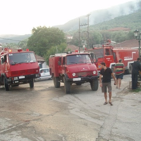 Μέσα από την συνεργασία αντιμετωπίζουμε τους κινδύνους από δασικές πυρκαγιές – Εγκρίθηκε στην Εκτελεστική Επιτροπή το Σχέδιο για αντιμετώπιση έκτακτων αναγκών 