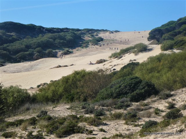 visitar Bolonia y su enorme duna en Cádiz