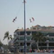 View album