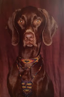 Brown Dog wearing rainbow bead jewelry