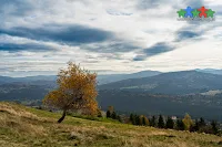 Góra Ochodzita to niezwykle popularny szczyt Koniakowa z jedną z najpiękniejszych w całych Beskidach górską panoramą.