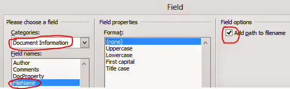 Insert File Path in Office 2010 from Field