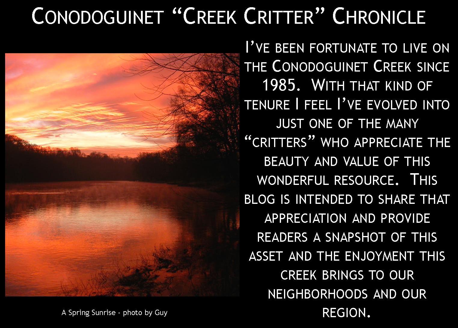 Conodoguinet Creek Critter Chronicle