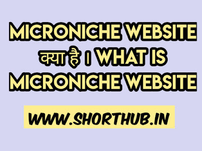 Microniche Website क्या है । What Is Microniche Website