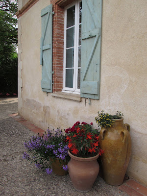 France: Flower Pots l LadyD Books