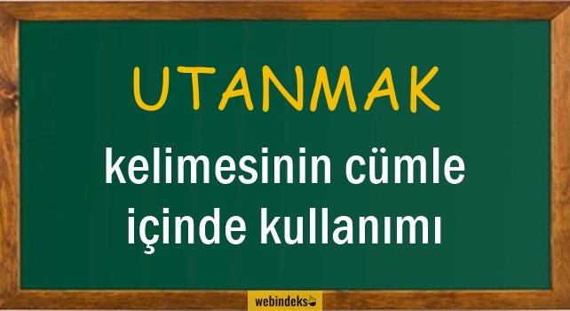 Utanmak İle İlgili Cümleler, Kısa Cümle İçinde Kullanımı